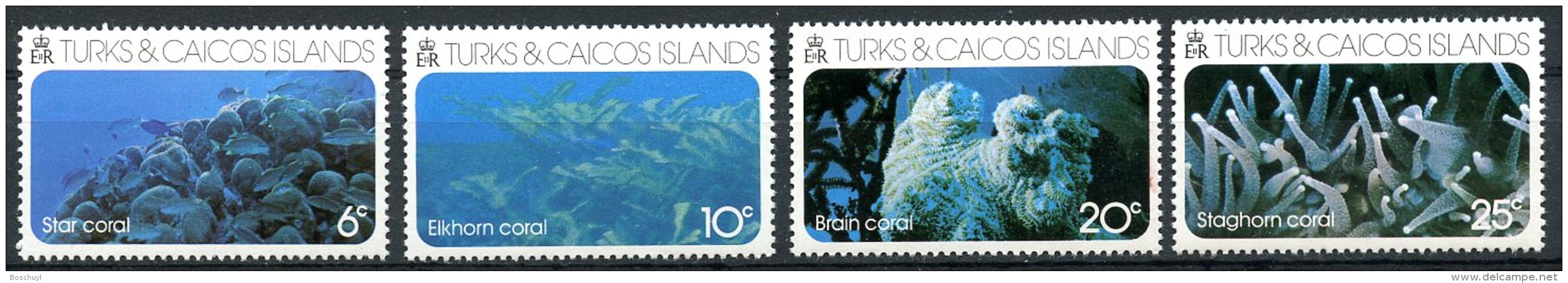 Turks And Caicos Islands, 1975, Coral, Sea Life, MNH, Michel 349-352 - Turks & Caicos (I. Turques Et Caïques)