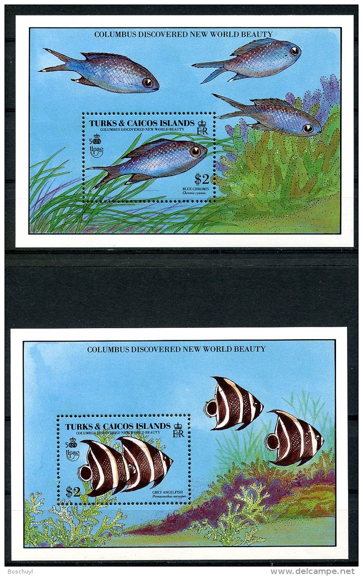 Turks And Caicos Islands, 1990, Discovery Of America, Fish, Animals, MNH, Michel Block 87-88 - Turks & Caicos