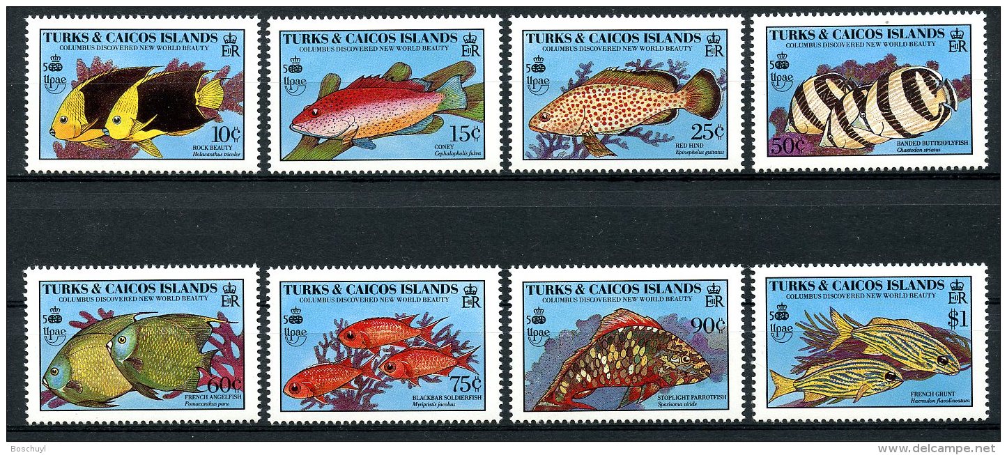 Turks And Caicos Islands, 1990, Discovery Of America, Fish, Animals, MNH, Michel 920-927 - Turks & Caicos (I. Turques Et Caïques)