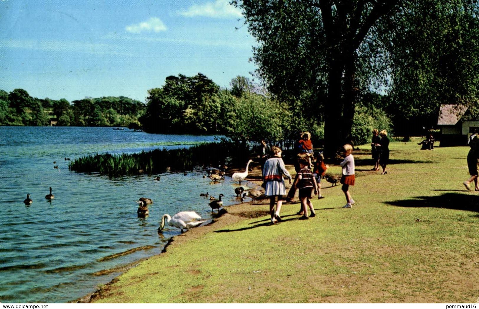 CPM The Mere, Ellesmere - Shropshire