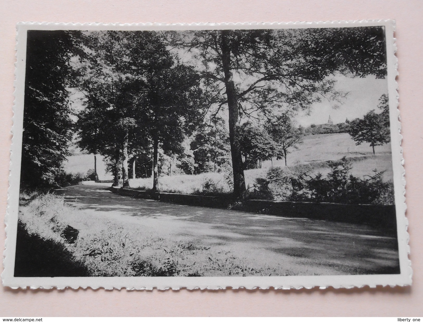 ROCHEHAUT S/ Semois " CHALET ARDENNAIS " ( Henri Duruisseaux ) La Route Vers Alle - Anno 19?? ( Zie Foto Details ) !! - Bouillon