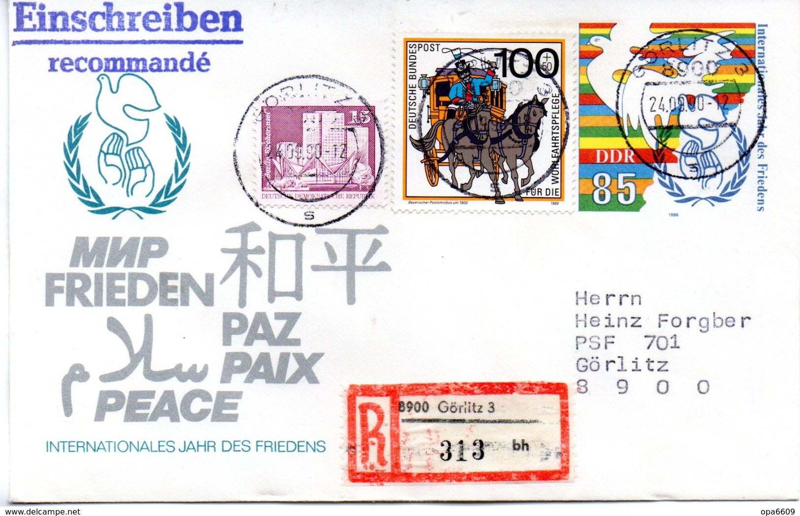 DDR Amtl. GZS-Umschlag U 5  85(Pf) Mehrfarbig DDR/BRD-ZF" Internationales Jahr Des Friedens" TSt 24.9.90 GÖRLITZ - Buste - Usati