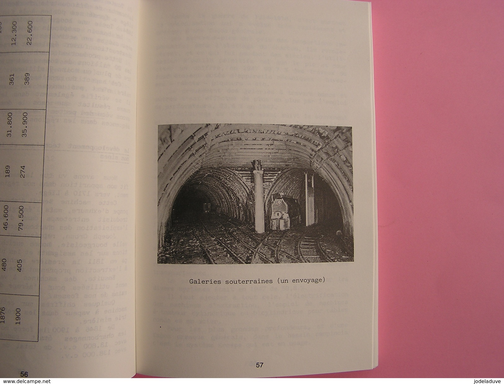 LA CENTRALE DES FRANCS MINEURS Régionalisme Syndicat Ouvrier Mine Charbon Charbonnages Napoléon Lois Grève Sécurité