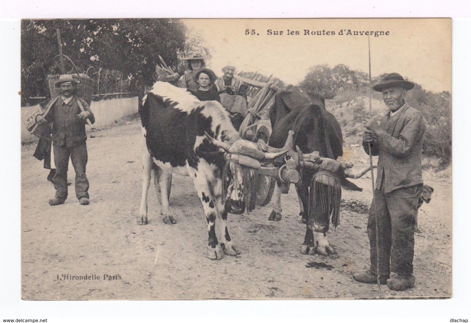 Sur Les Routes D'Auvergne. Attelage De Boeufs. (1931r) - Attelages