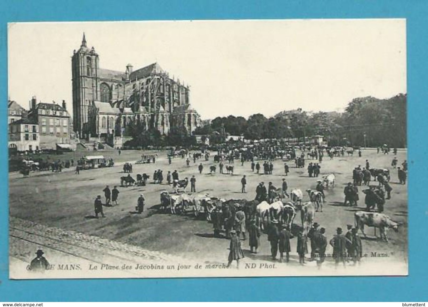 CPA - Métier Maquignons Marché Aux Bestiaux Place Des Jacobins LE MANS 72 - Le Mans