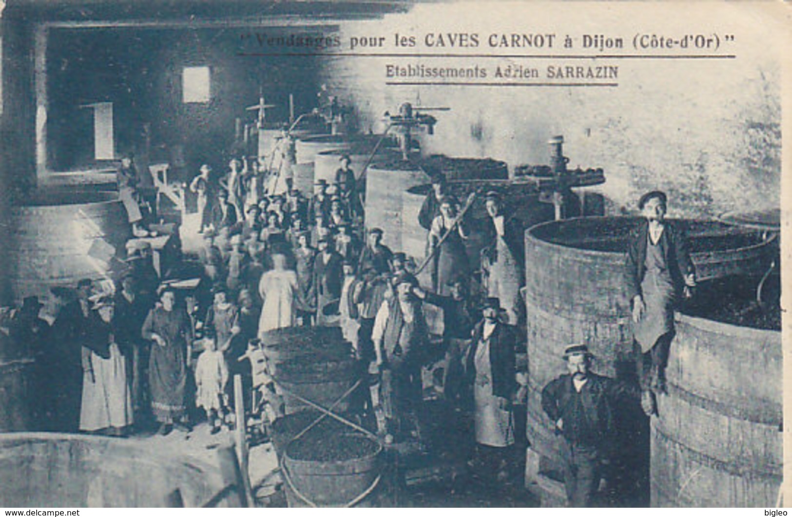 Vendange Pou Les Caves Carnot à Dijon - Adr.Sarrazin - 1932          (A-53-140121) - Vignes