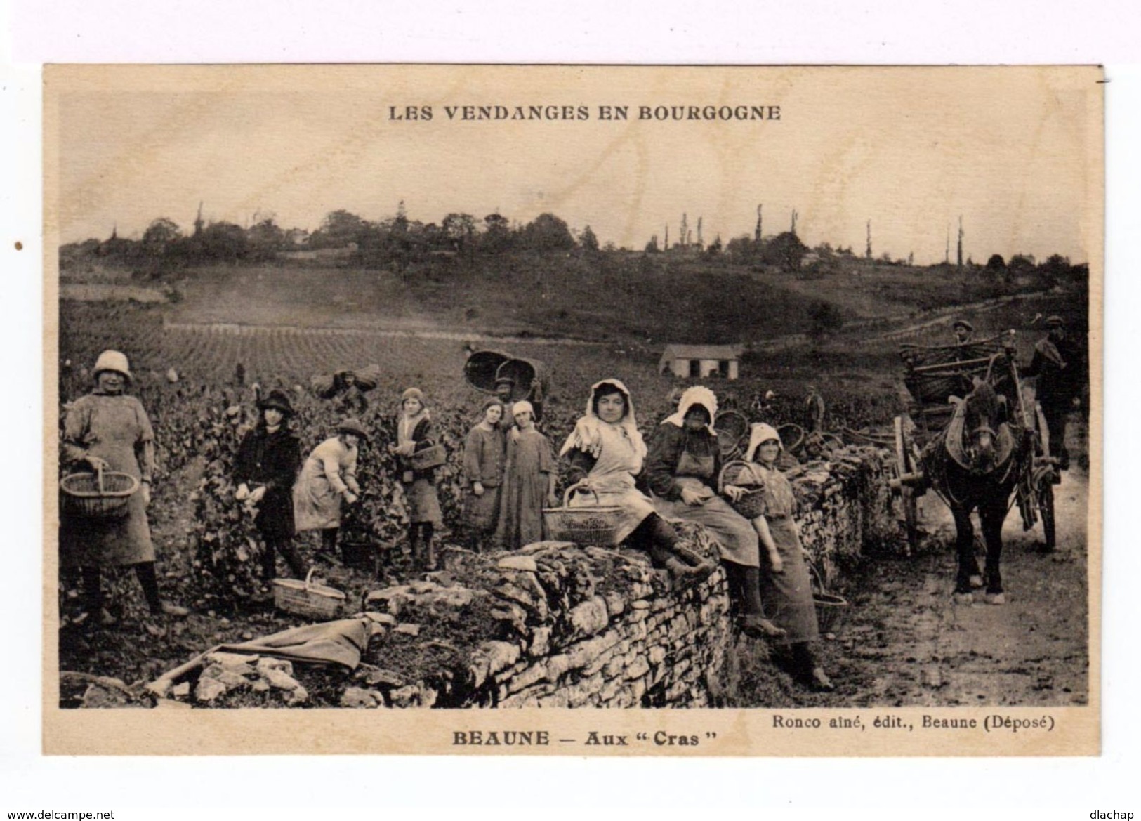 Les Vendanges En Bourgogne. Beaune. Aux Cras. (1941r) - Vignes