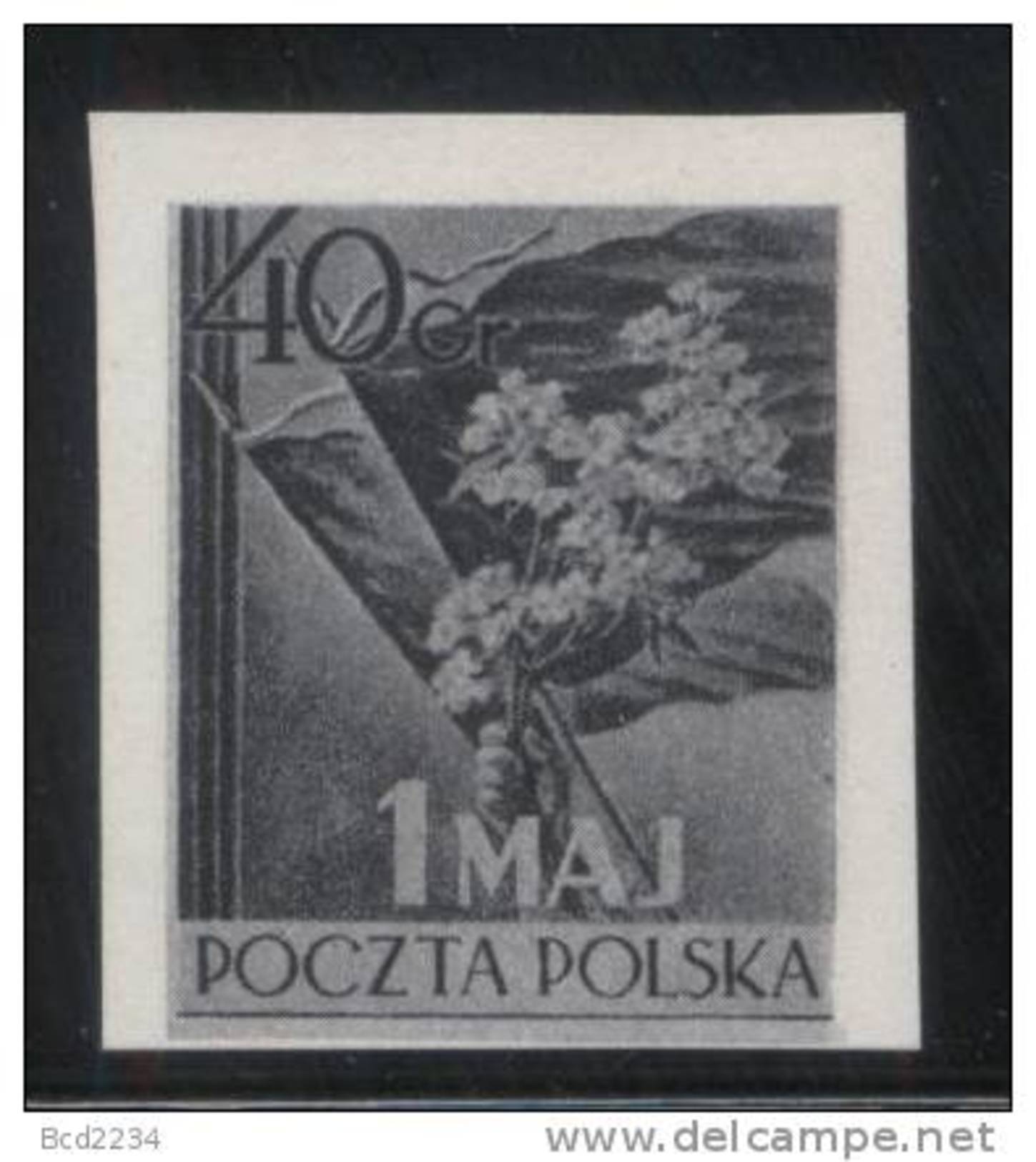 SUMMER SALE POLAND 1954 MAY LABOUR LABOR DAY BLACK PRINT PROOF NHM Flowers Flag Mayflowers - Essais & Réimpressions