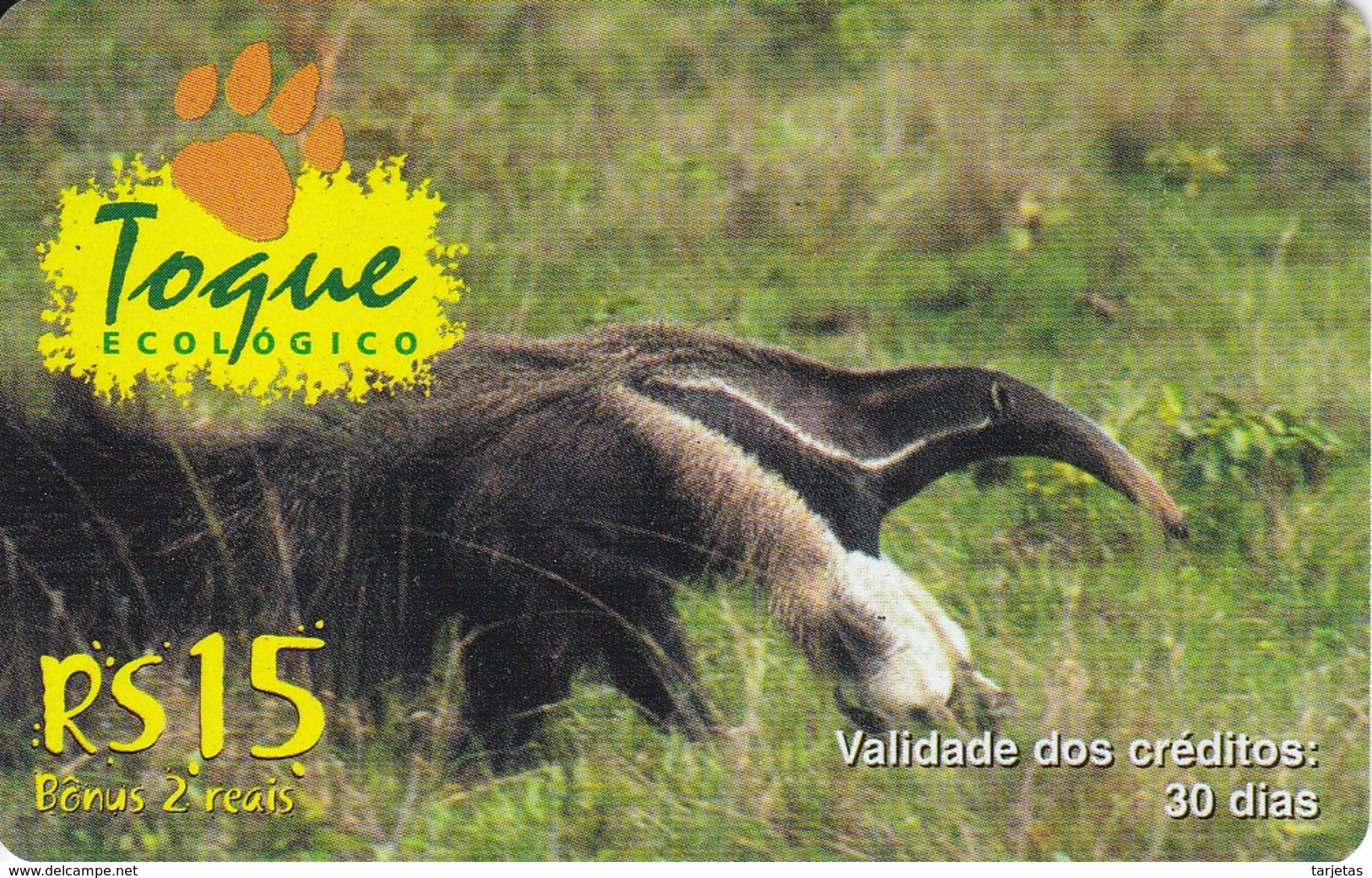 TARJETA BRASIL DE UN OSO HORMIGUERO (TAMANDUÁ) - Other & Unclassified