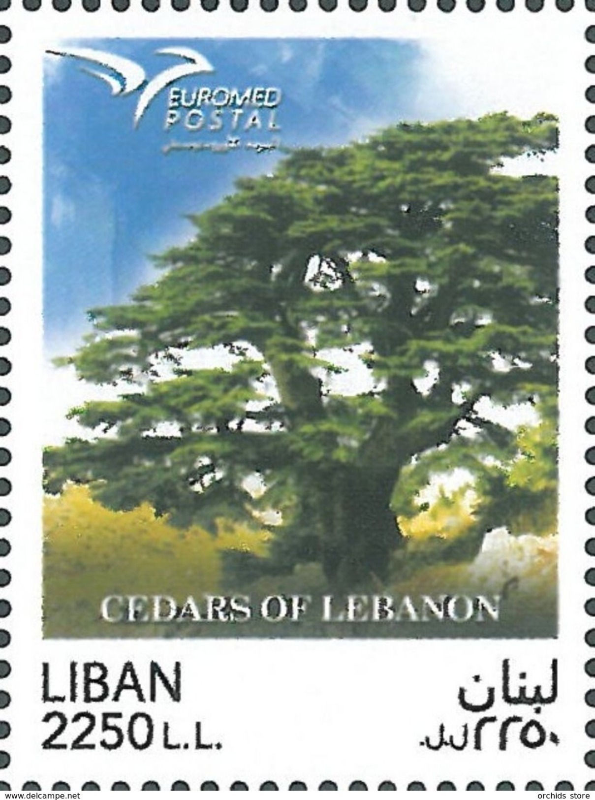 Lebanon NEW 2017 MNH Stamp - Lebanese Cedar Tree - Joint Issue Between The Euromed Countries - Lebanon