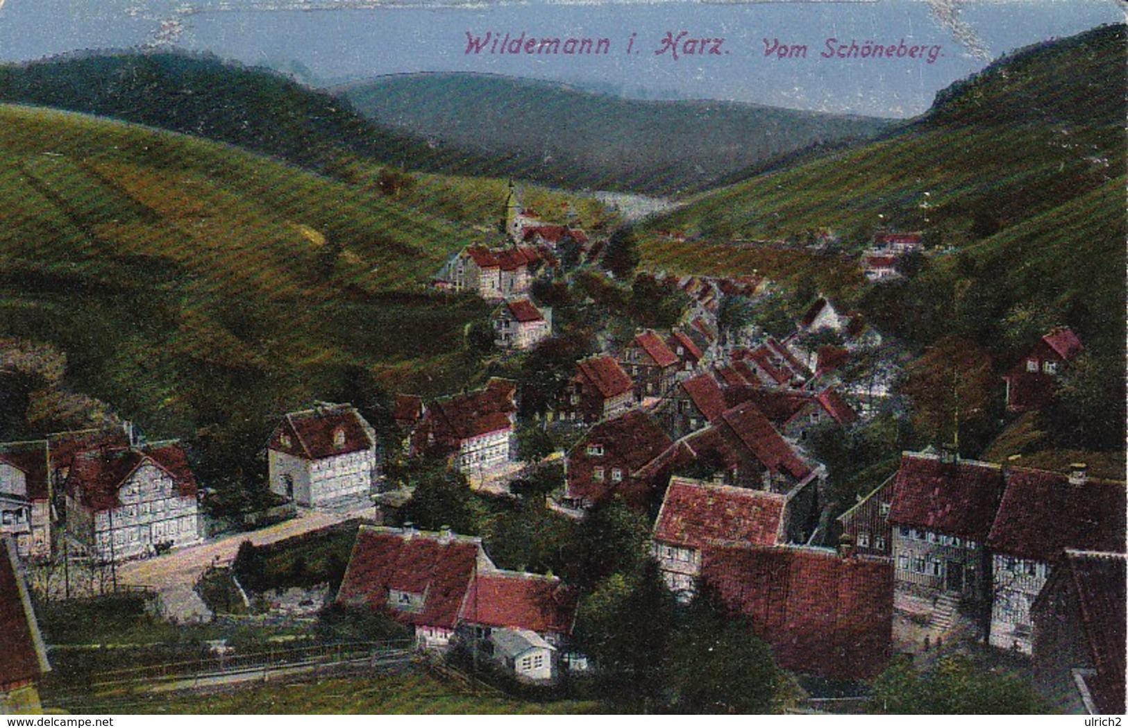 AK Wildemann I. Harz - Vom Schöneberg - Ca. 1920 (30964) - Wildemann