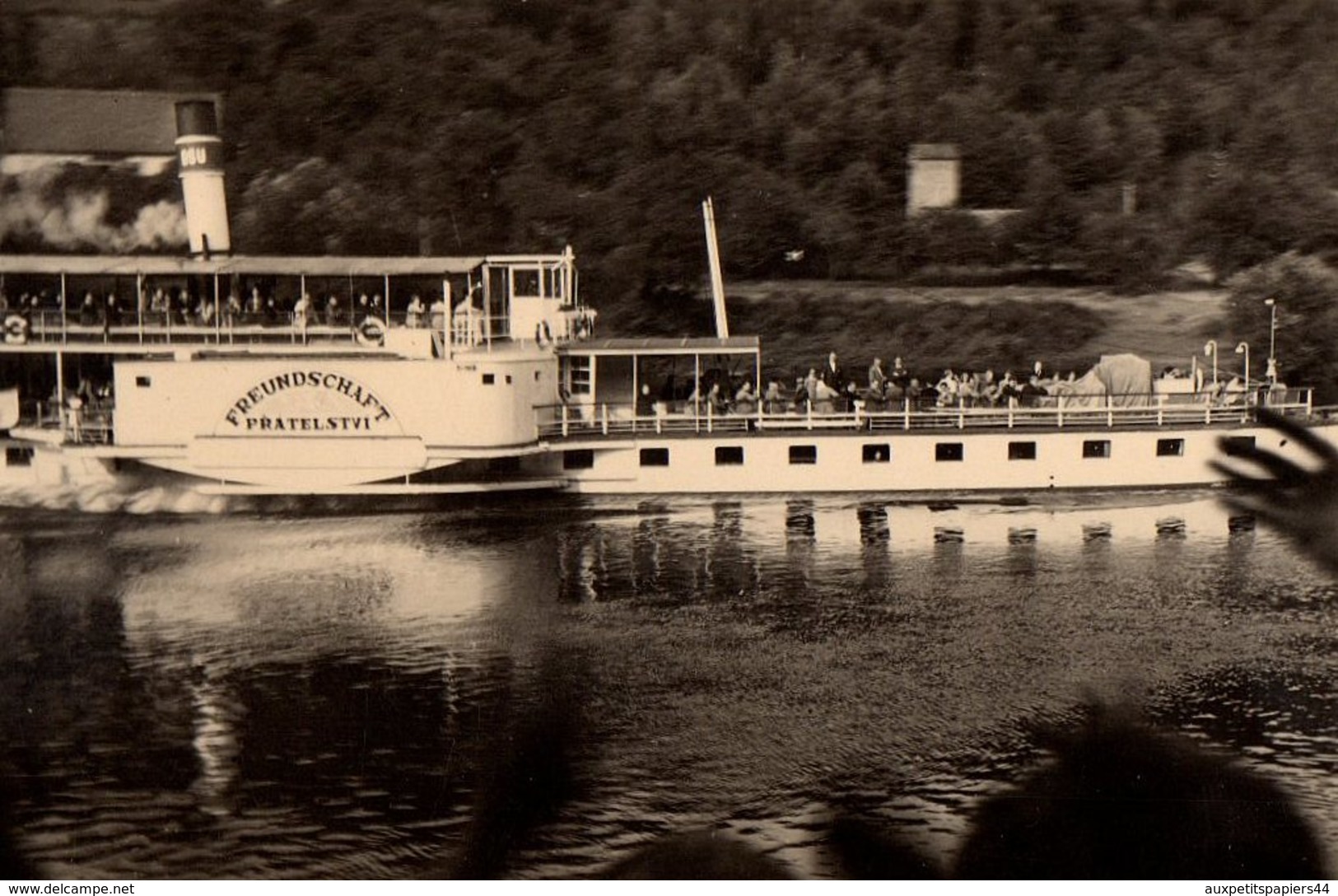 Photo Originale Bateau Touristique à Roues - Le Freundschaft Pratelstvi En 1955 In Ratheu - Reflet - Boats