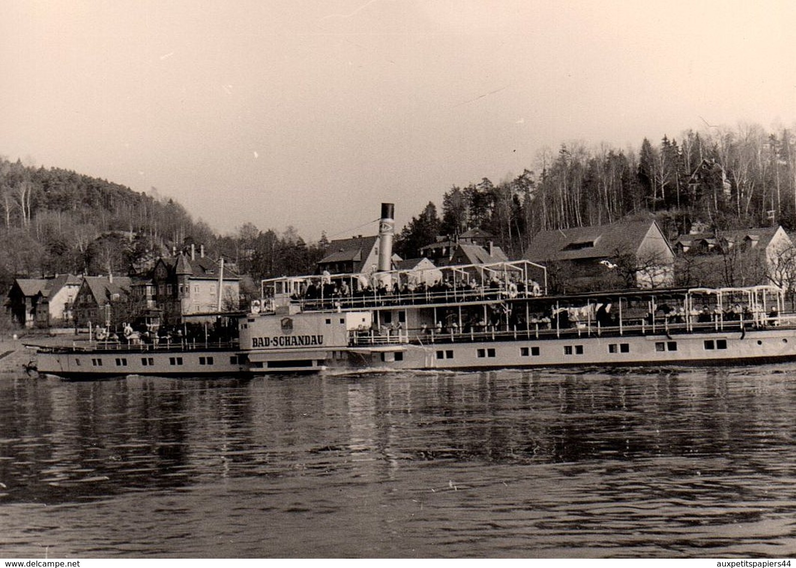 Photo Originale Bateau Touristique à Roues - Le Bad-Schadau En 1960 Sur Le Rhin - Pirna - Barche