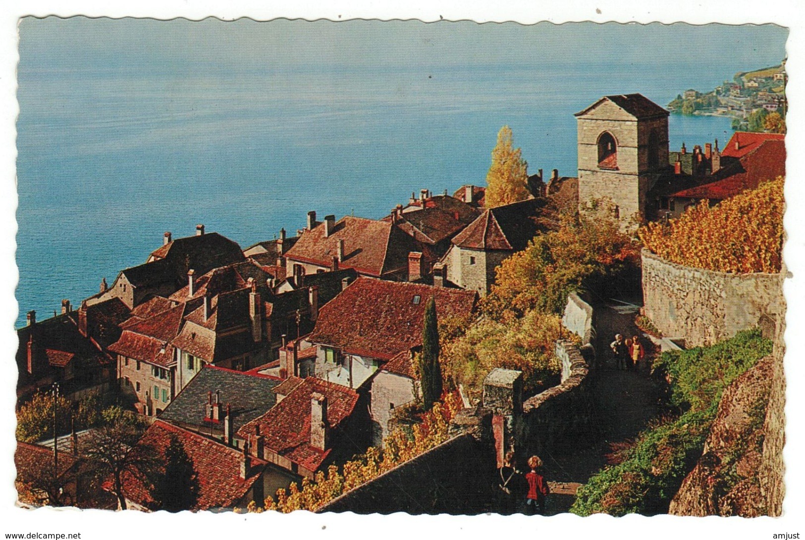 Suisse // Schweiz // Switzerland //  Vaud //  St.Saphorin (Lavaux) - Saint-Saphorin