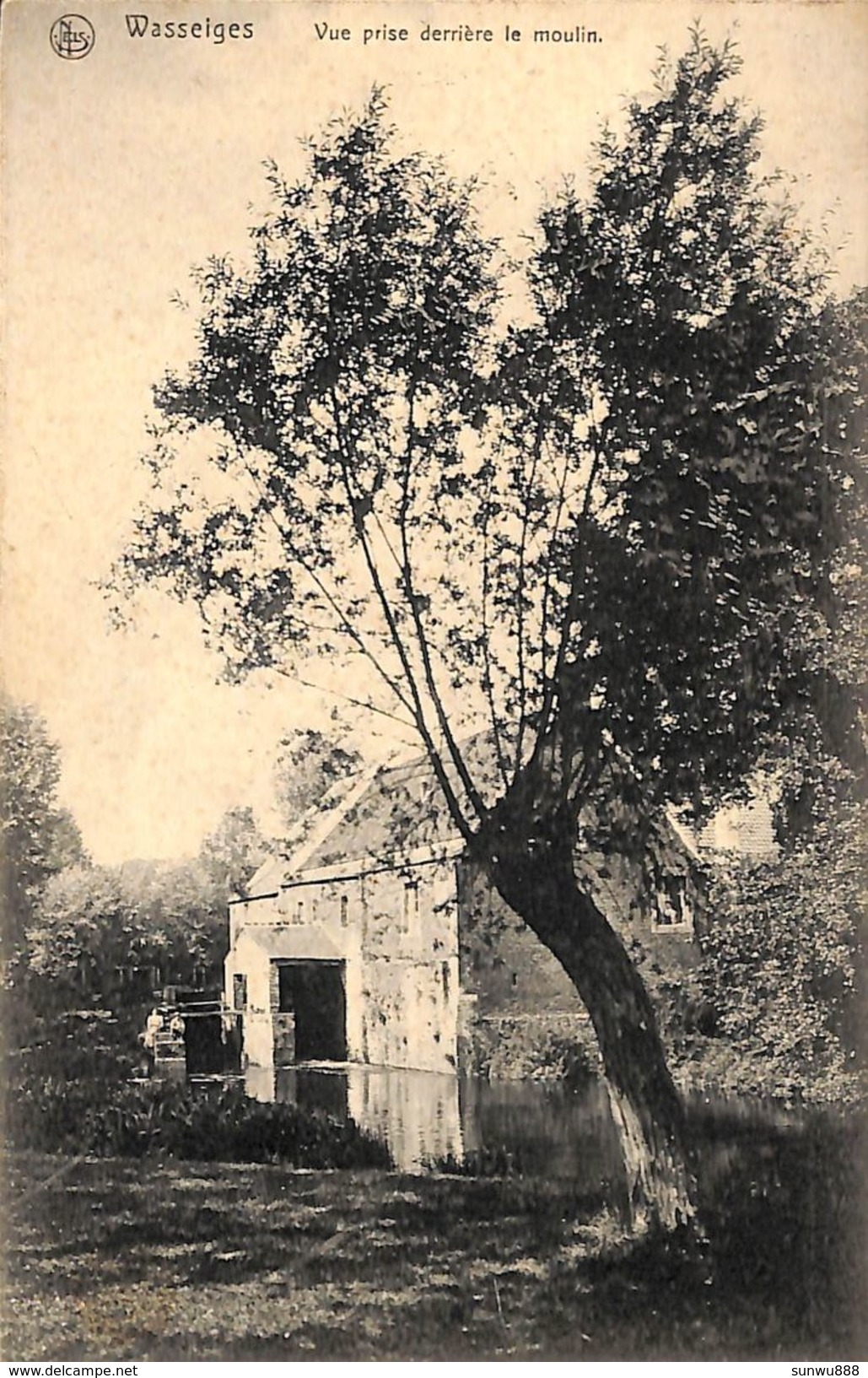 Wasseiges - Vue Prise Derrière Le Moulin (1911, Ed. Léonard, Maison Ad. Delhaize) - Wasseiges
