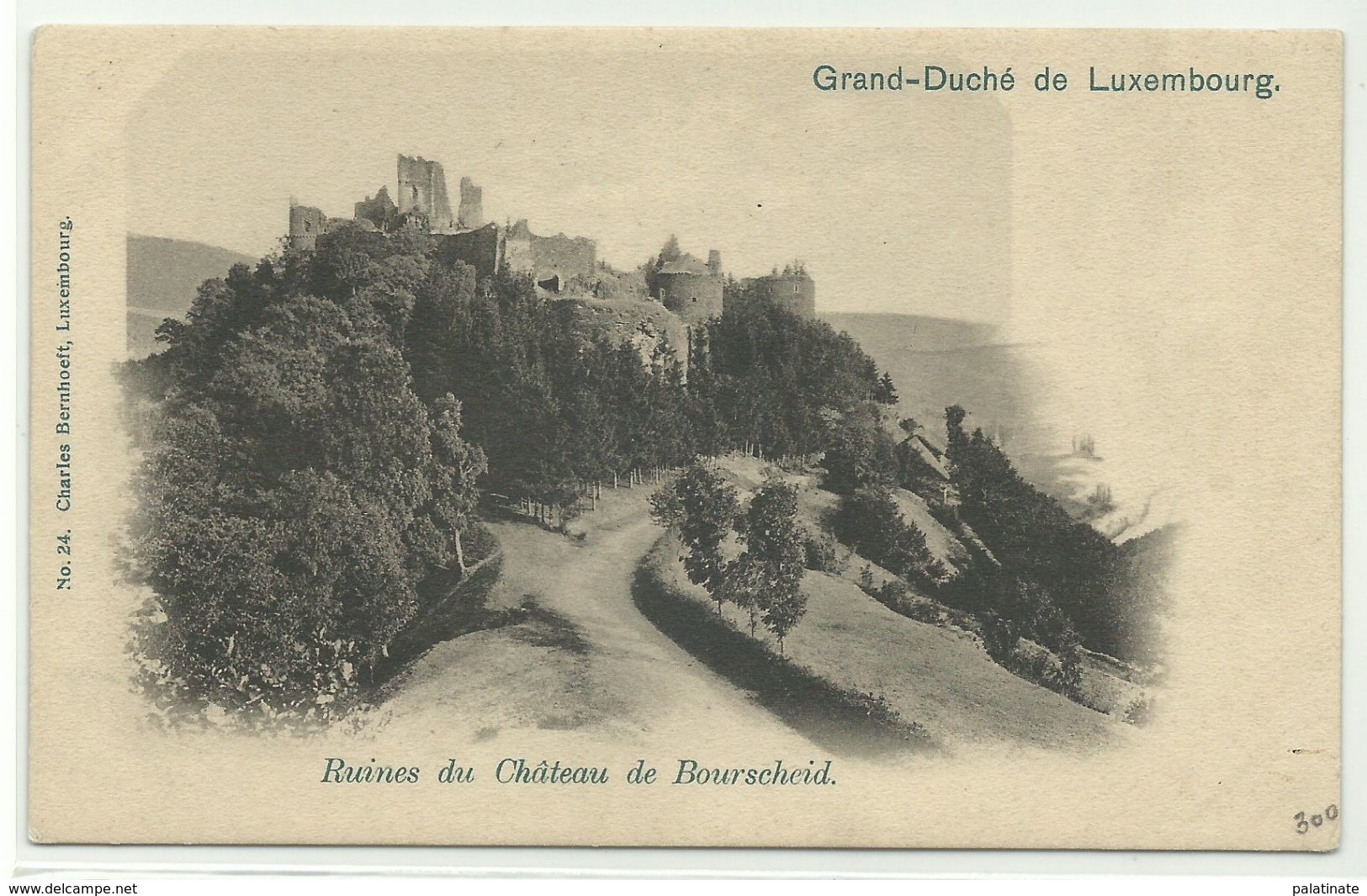 Ruines Du Chateau De Bourscheid Um 1900 - Bourscheid