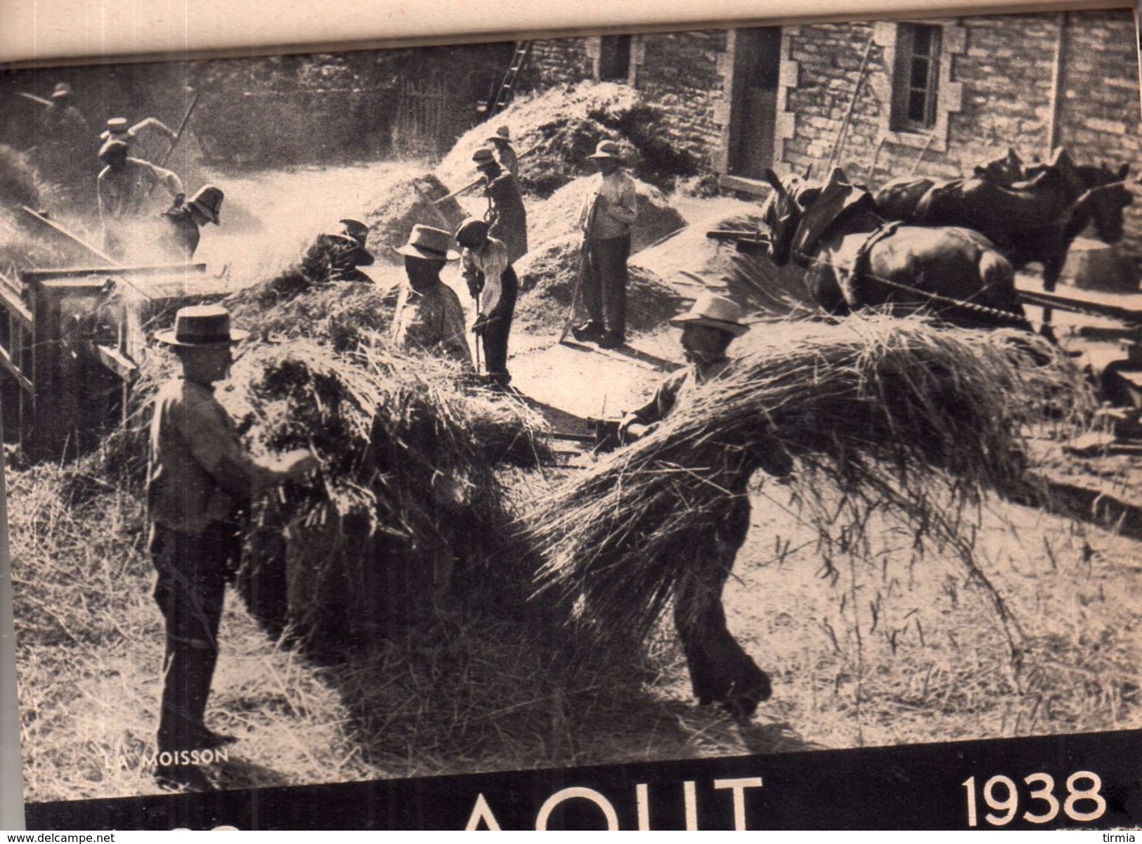 Calendriers 1938 - De Janvier à Décember - Grand Format : 1921-40