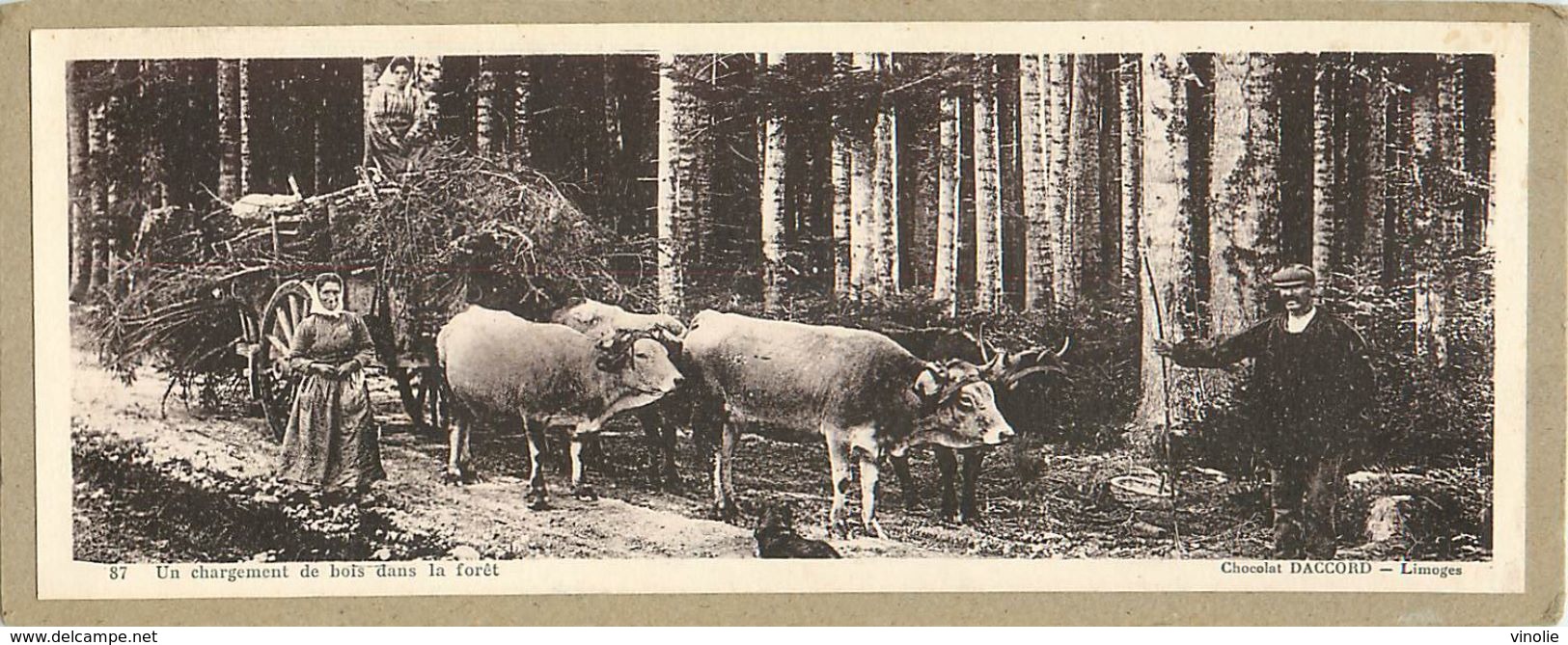 PIE 17-T-GF-276 : CHOCOLAT DACCORD LIMOGES. VUE PANORAMIQUE UN CHARGEMENT DE BOIS DANS LA FORET. ATTELAGE DES BOEUFS - Autres & Non Classés