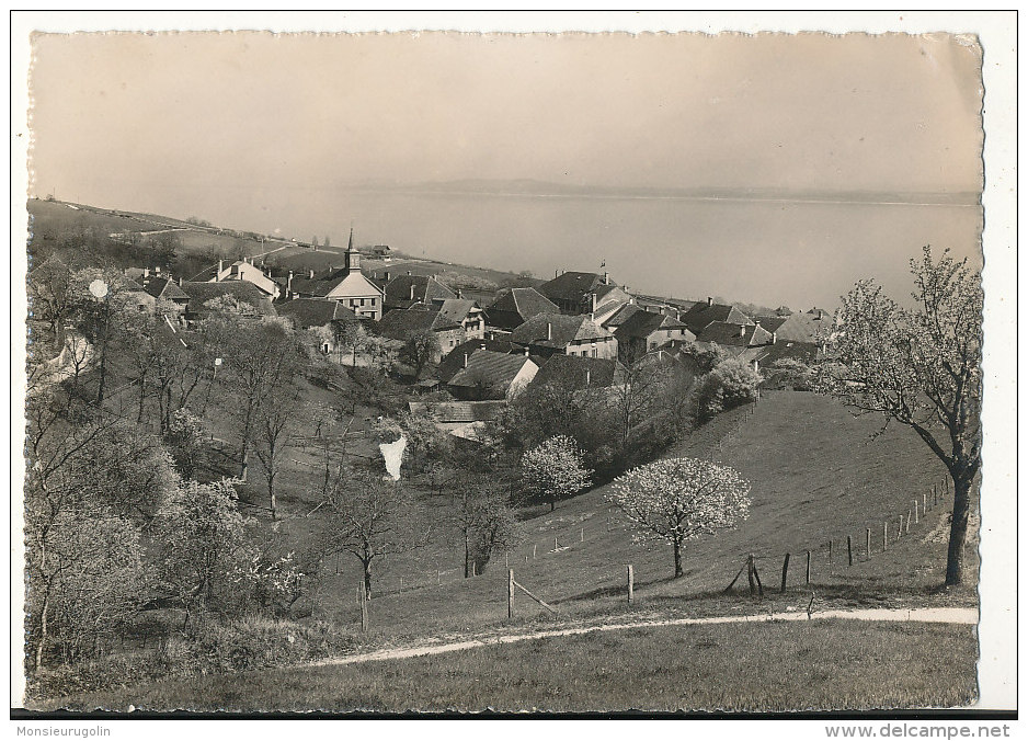 SUISSE )) GORGIER ET LE LAC  ** - Gorgier