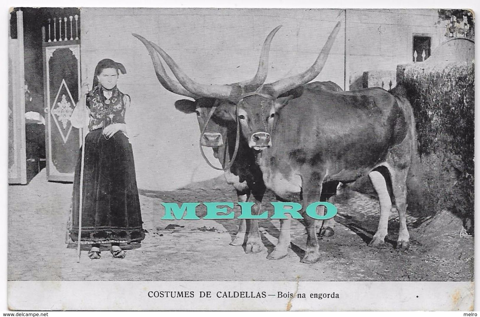 PORTUGAL-  Caldellas - Costumes De Caldellas - Bois De Engorda. - Europe