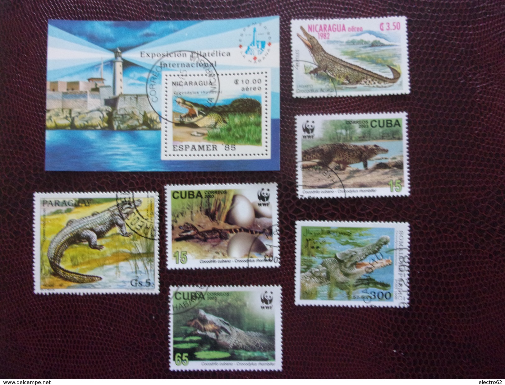 Crocodile Nicaragua Cuba Paraguay Somalie Phare - Autres & Non Classés