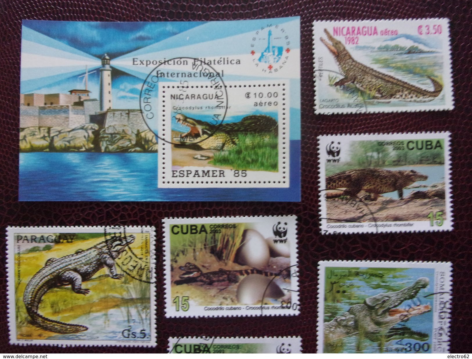 Crocodile Nicaragua Cuba Paraguay Somalie Phare - Autres & Non Classés