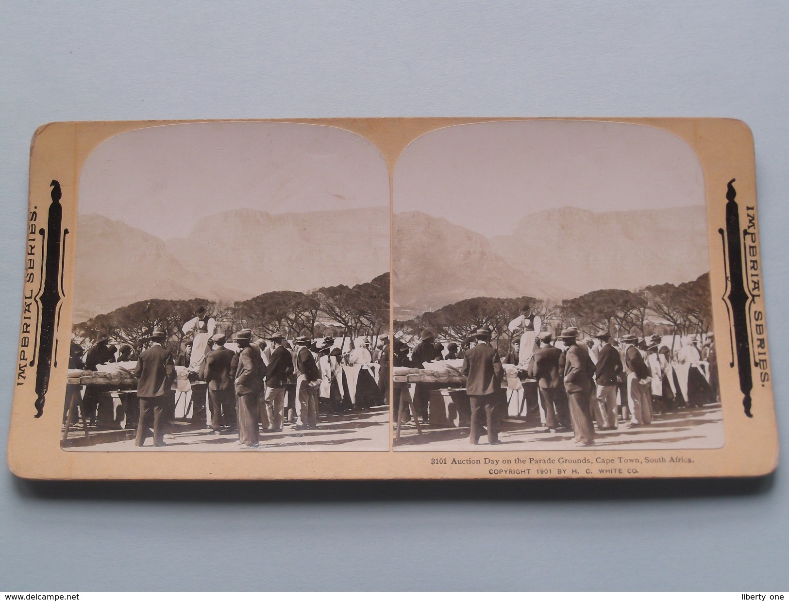 AUCTION Day On The Parade Grounds CAPE TOWN South Africa ( 3101 ) Stereo Photo IMPERIAL SERIES ( Voir Photo ) ! - Stereo-Photographie