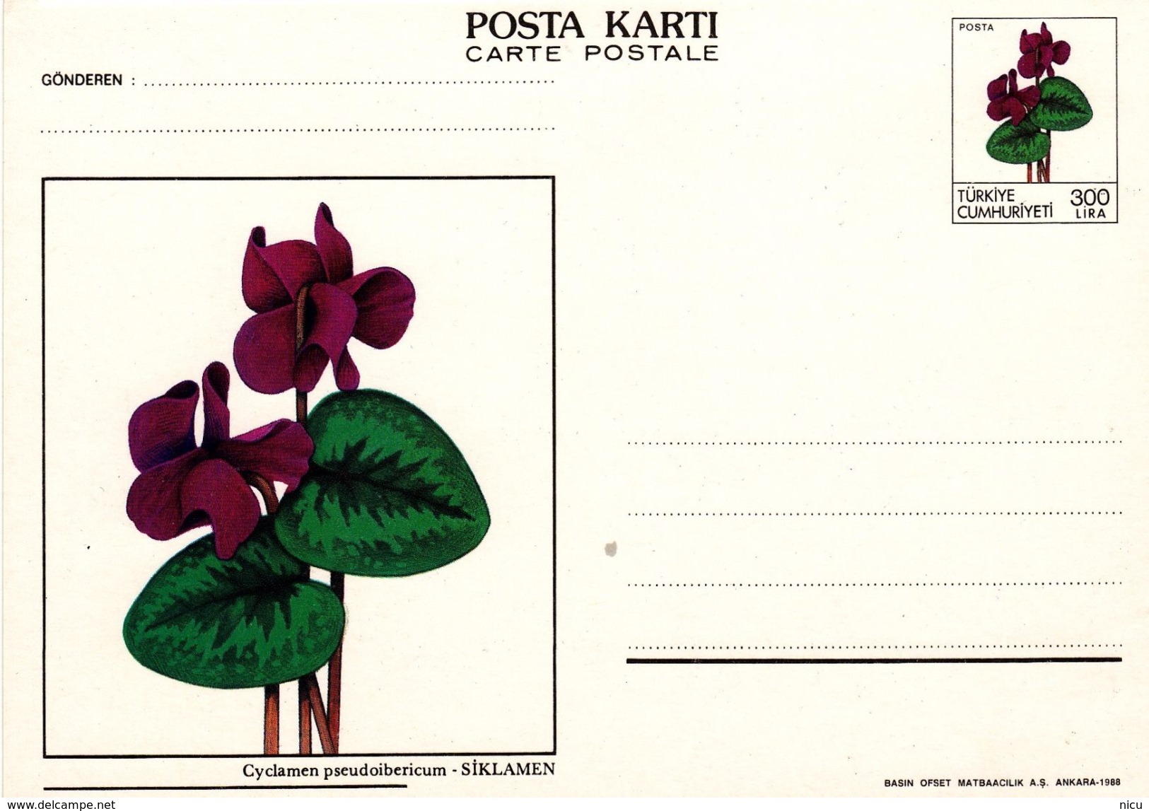 1988 - FLOWERS - CYCLAMEN (Cyclamen Pseudoibericum) - Entiers Postaux