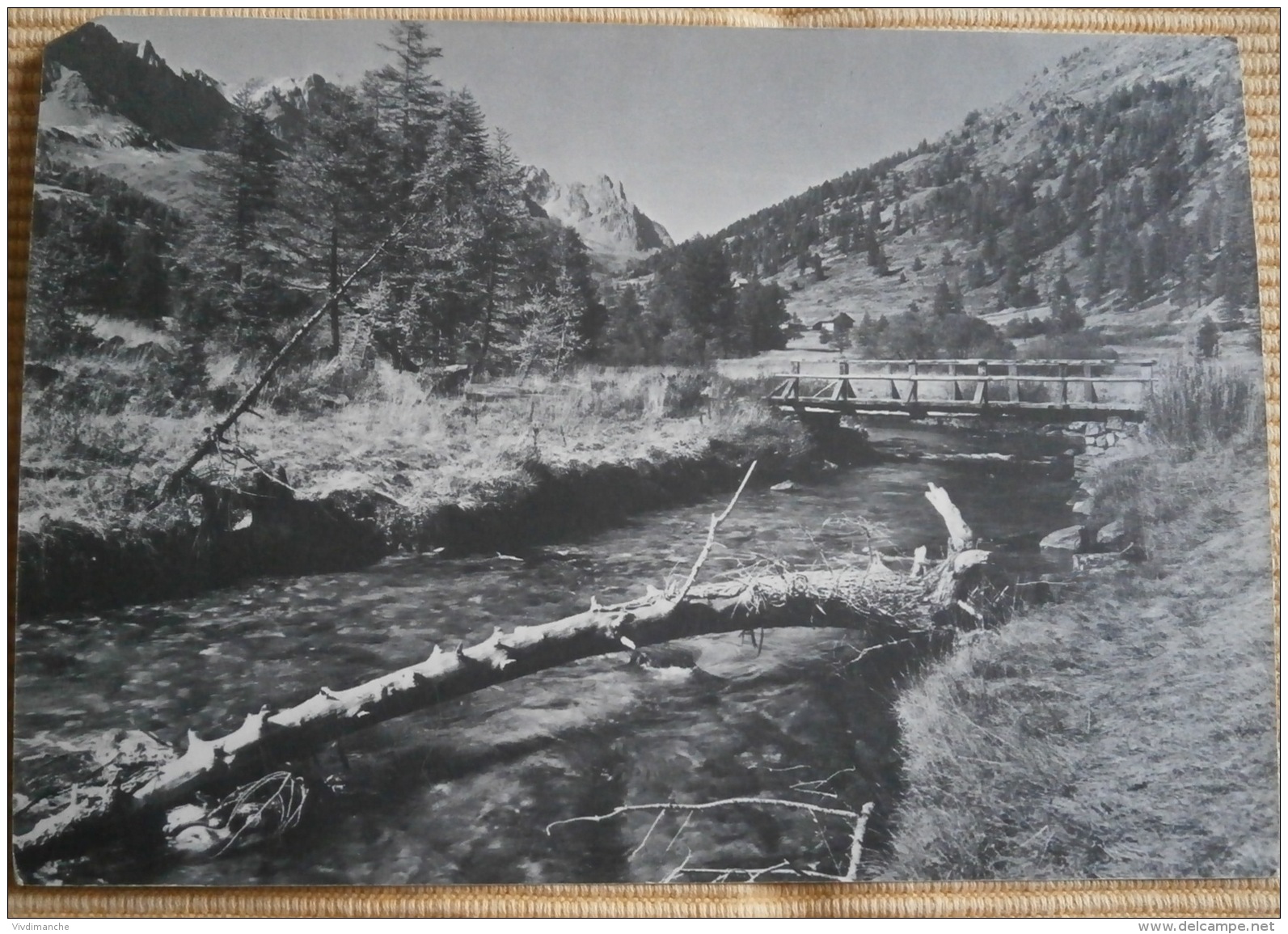 VALLEE DE LA HAUTE CLAREE - VALLON DE LACHA - TORRENT DE LA CLAIREE - CPSM GRAND FORMAT 12 X 17 - Autres & Non Classés