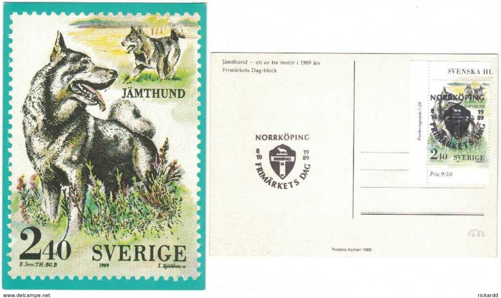 Sweden - Svenska Hundar F#1586 NORRKÖPING 8/10 1989 On PT-card - Other & Unclassified