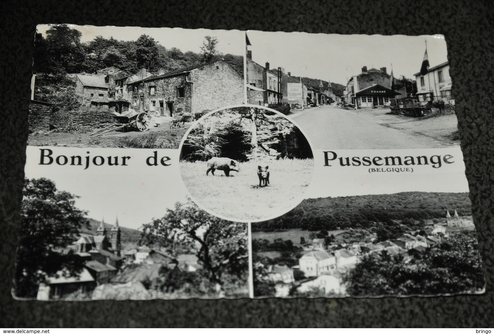 63-  Bonjour De Pussemange - Vresse-sur-Semois