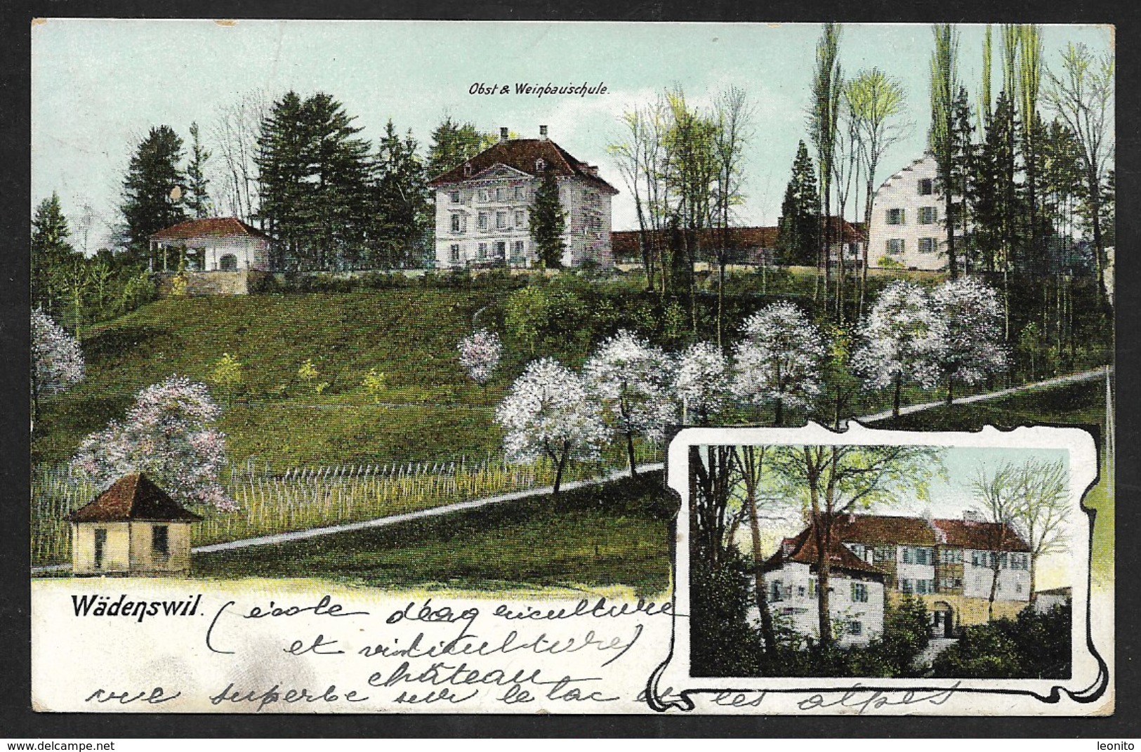 WÄDENSWIL ZH Horgen Obst- Und Weinbauschule 1911 - Horgen