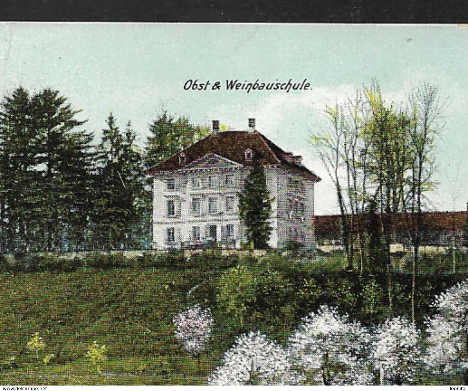 WÄDENSWIL ZH Horgen Obst- Und Weinbauschule 1911 - Horgen