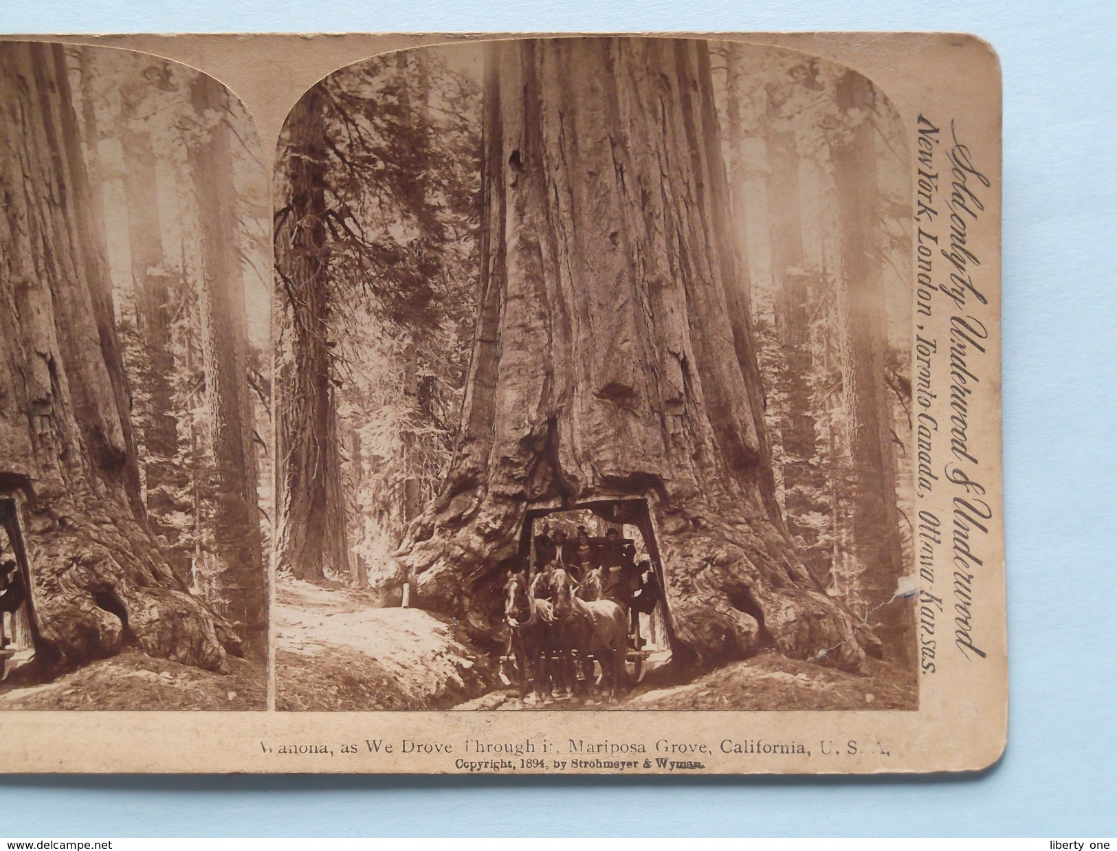 WANONA, As We Drove Through It, MARIPOSA Grove California (10271) Stereo Photo : Strohmeyer ( Voir Photo ) ! - Photos Stéréoscopiques