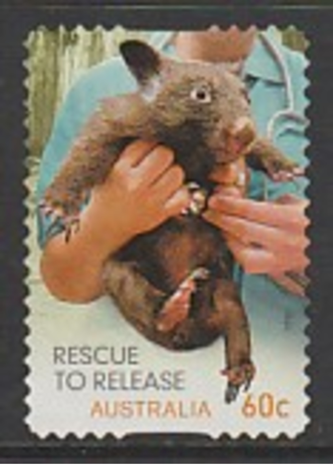 Australia 2010 Wildlife Caring - Rescue To Release 60c Multicoloured Used - Used Stamps