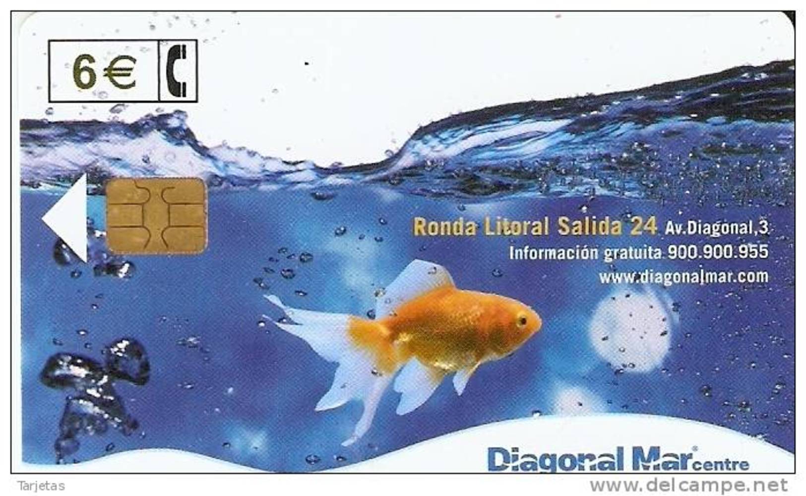 TARJETA DE ESPAÑA DE UN PEZ NARANJA (FISH-PEZ-POISSON) - Peces