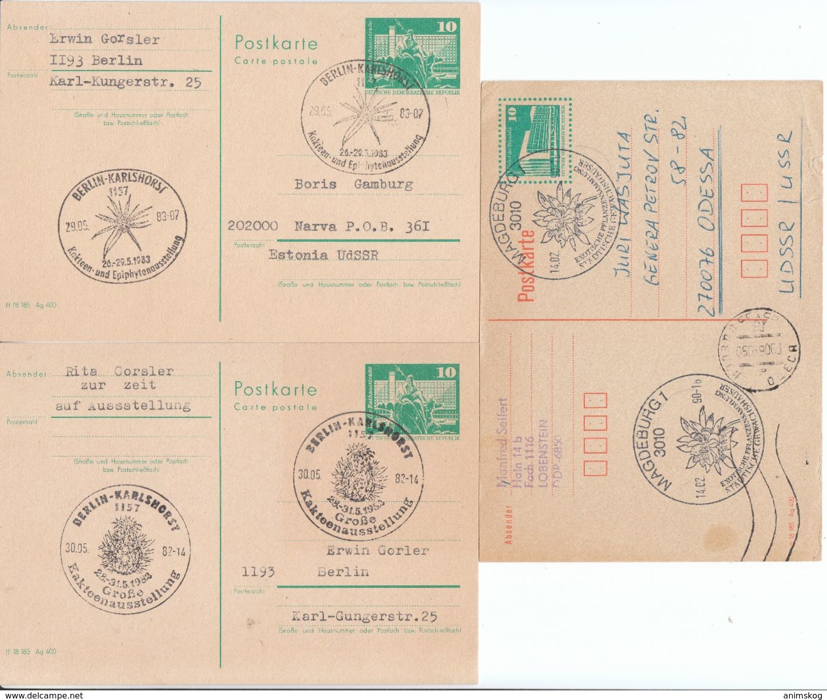 DDR, 3 Postkarten Mit Versch. SStpl.Kaktus, Gebr. / GDR, 3 Postcards With Different Postmarks Cactus, Used - Cactus