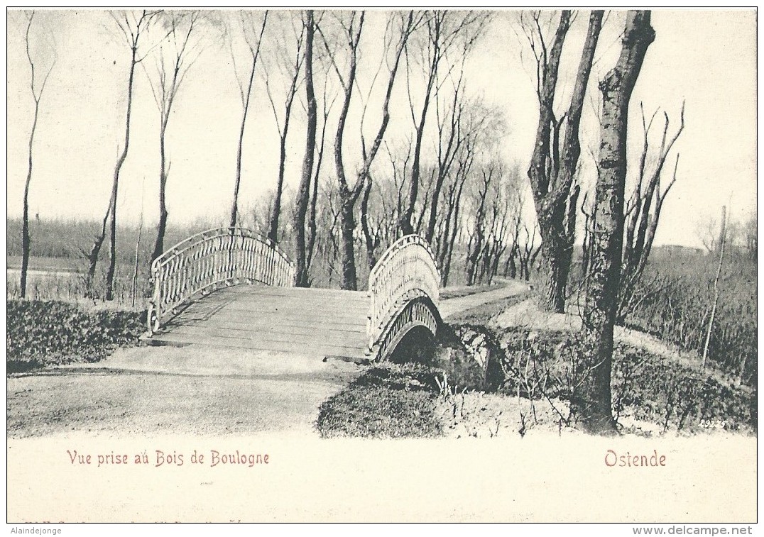 Oostende Ostende Vue Prise Au Bois De Boulogne - 1907 - Oostende