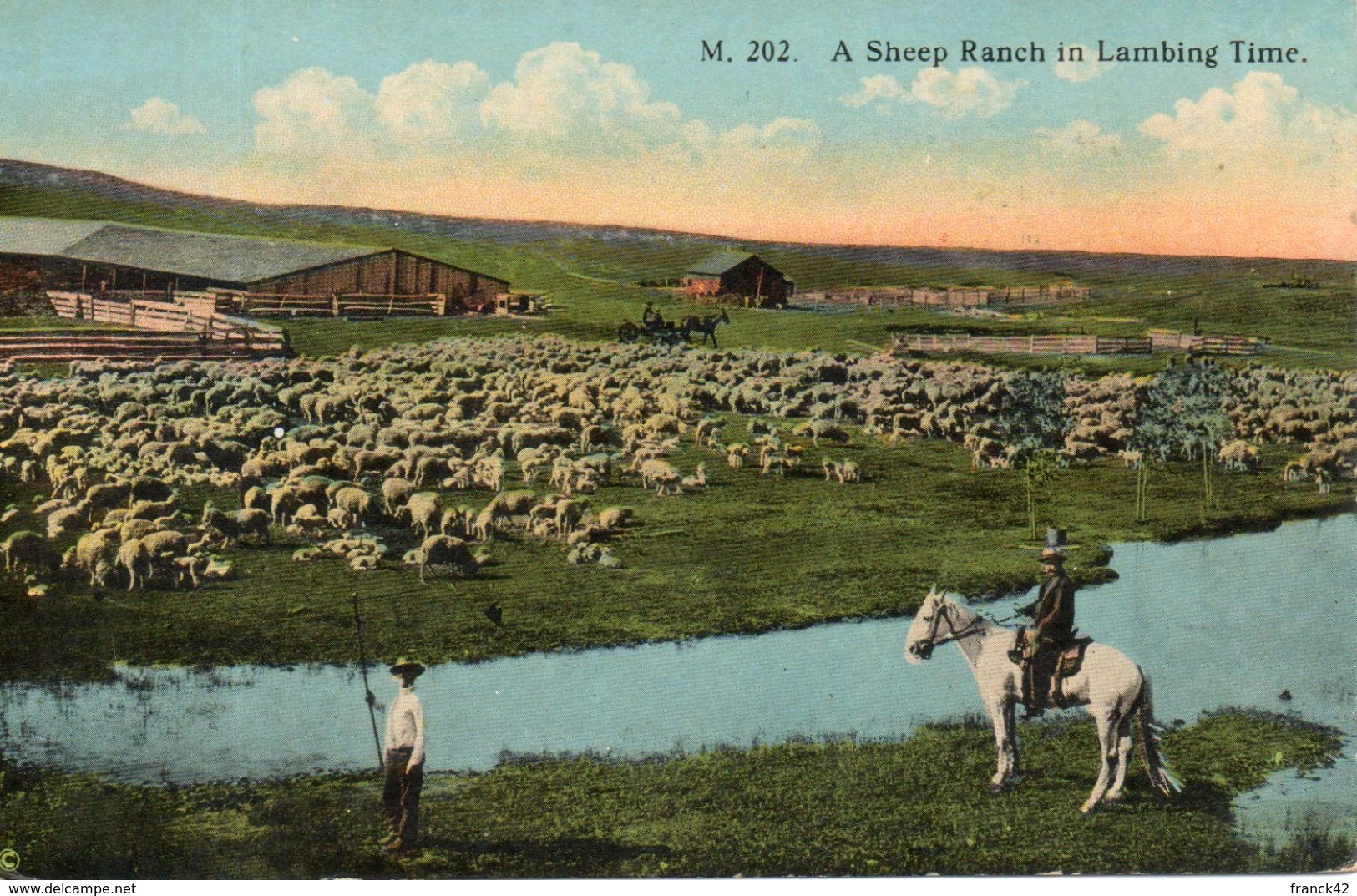 Etats Unis. A Sheep Ranch In Lambing Time - Autres & Non Classés