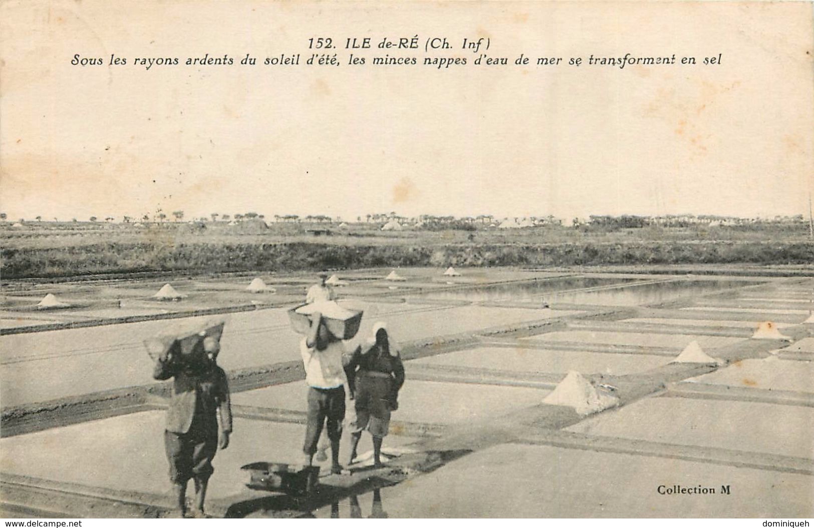 Lot de 50 cpa Île de Ré et Île d'Oléron Plusieurs animations