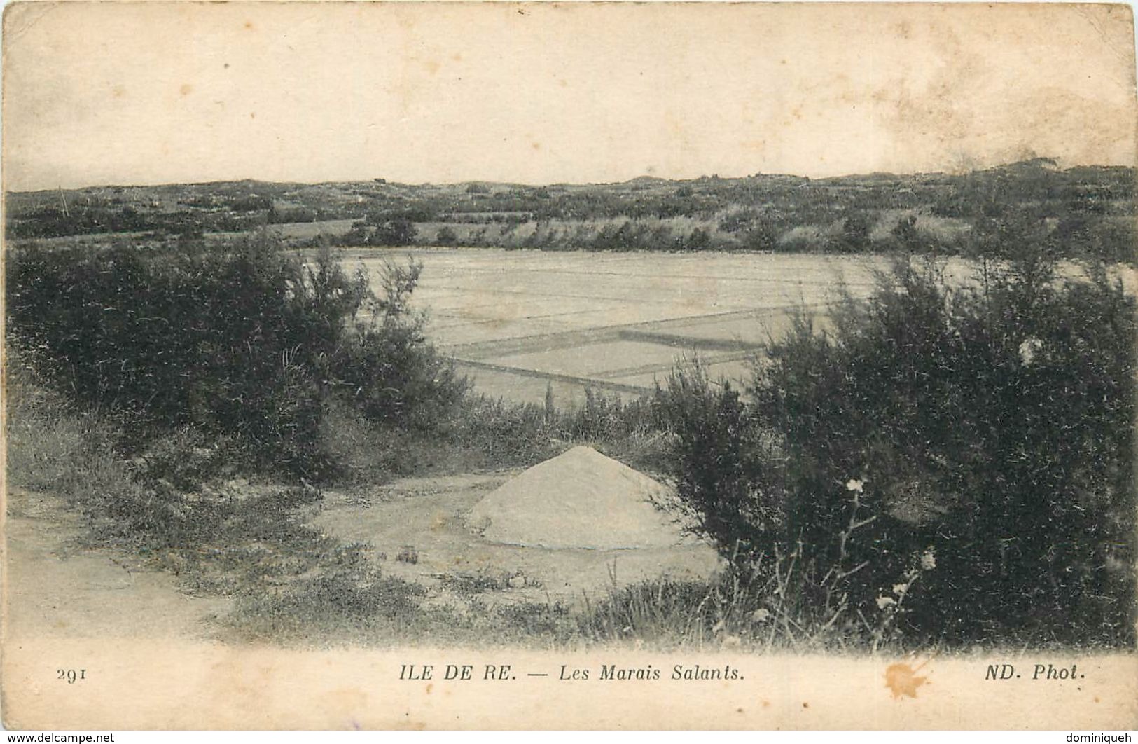 Lot de 50 cpa Île de Ré et Île d'Oléron Plusieurs animations