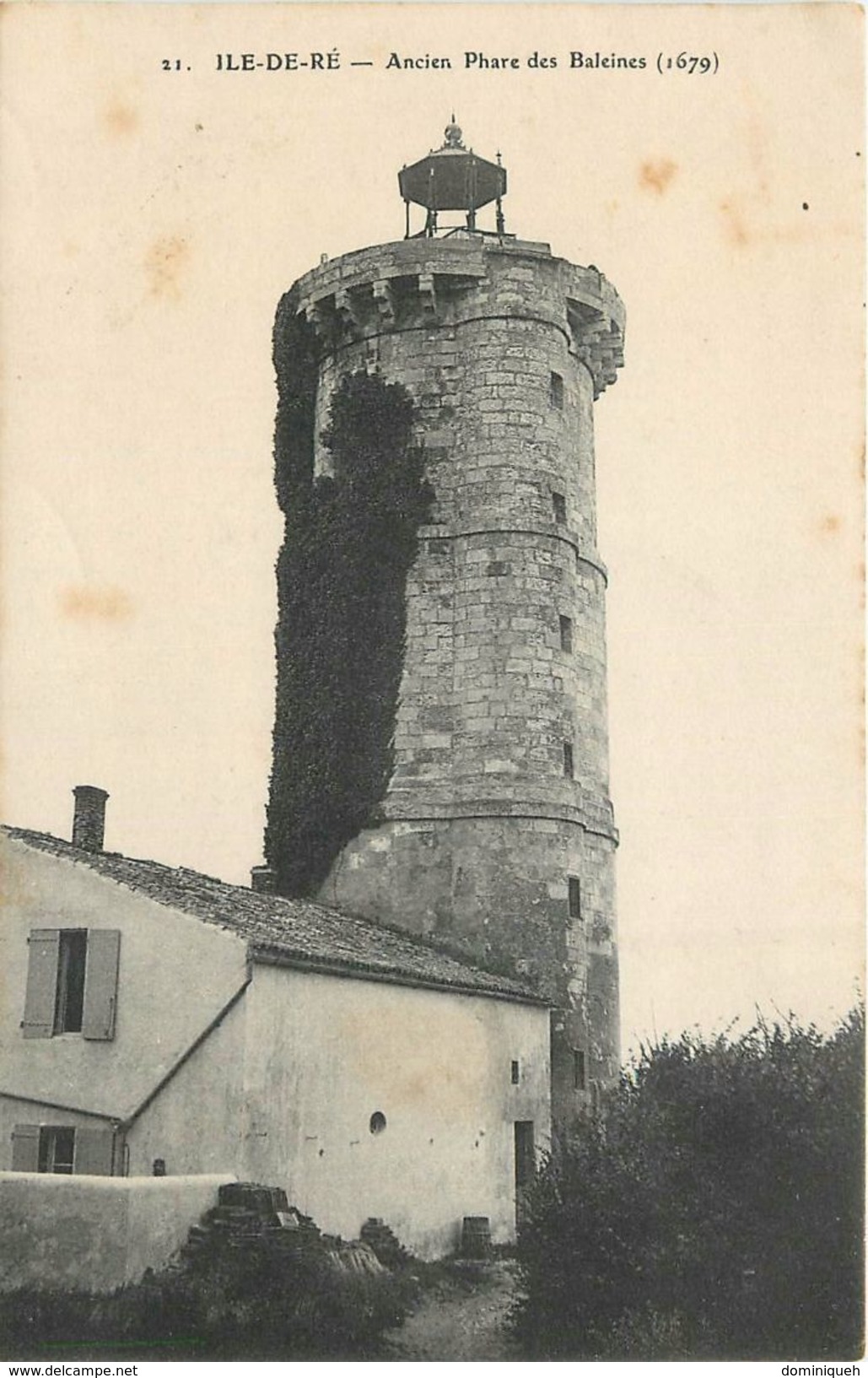 Lot de 50 cpa Île de Ré et Île d'Oléron Plusieurs animations