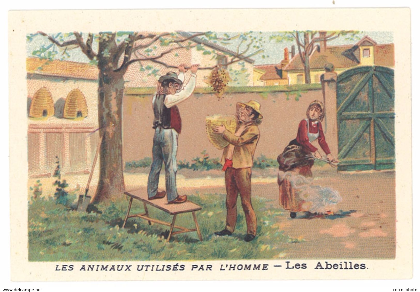 Chromo : Les Animaux Utilisés Par L'homme : Les Abeilles ( Nid, Ruche, Apiculteur ) - Autres & Non Classés