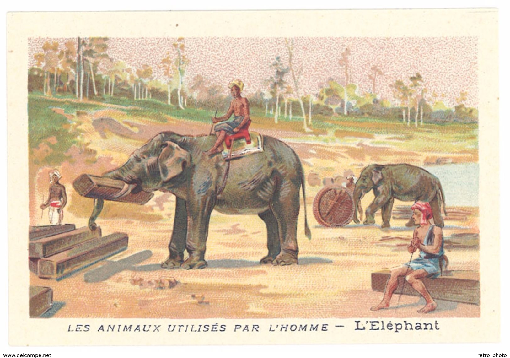 Chromo : Les Animaux Utilisés Par L'homme : L' éléphant - Autres & Non Classés