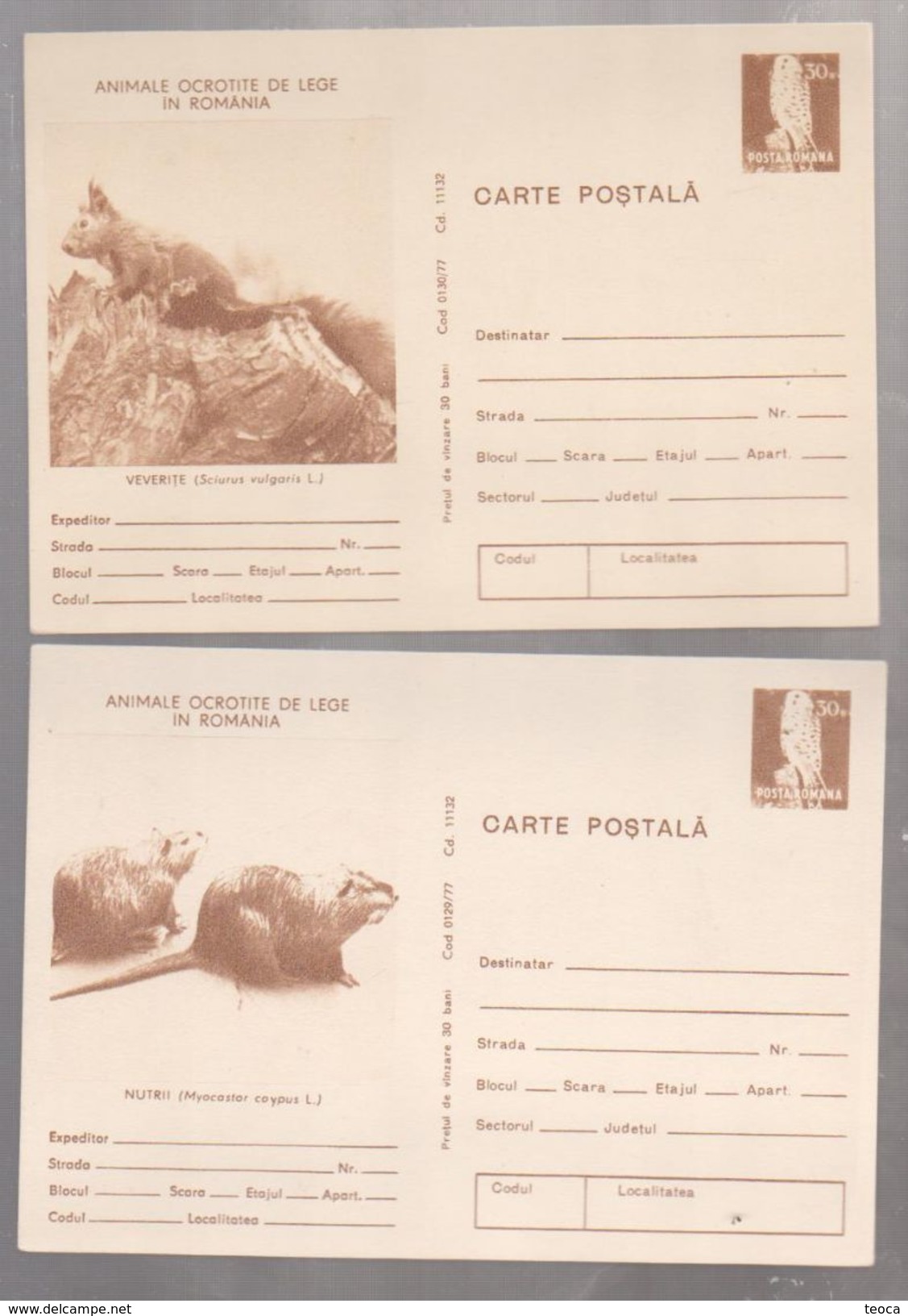 POSTCARD  STATIONERY ROMANIA 1977  FAUNA ANIMALS  ROUMANIE 1977  Animals Protect Nature Squirrels And Nutri - Sonstige & Ohne Zuordnung