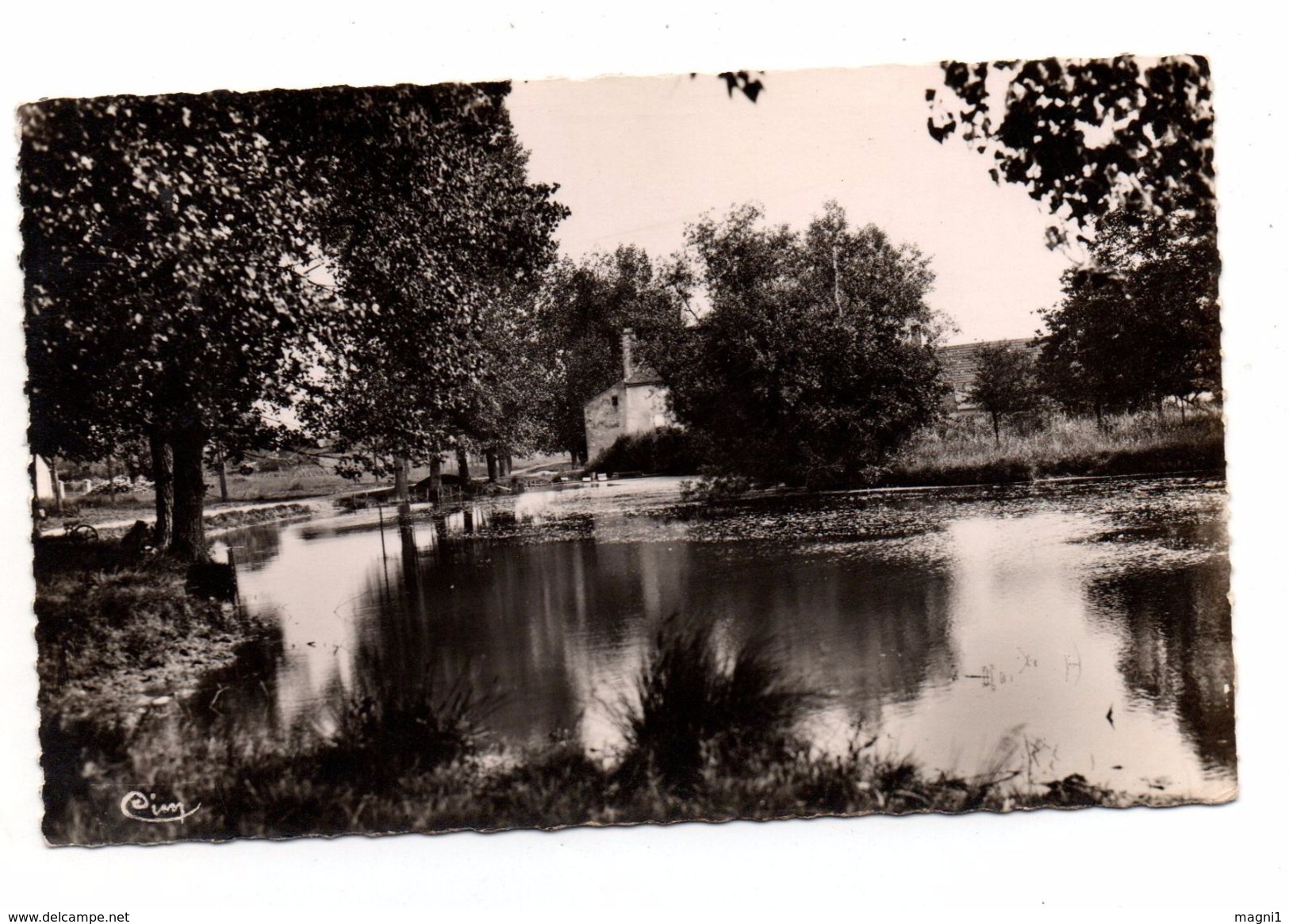 21 - Cpa - SAINTE MARIE LA BLANCHE - La Mare - Autres & Non Classés