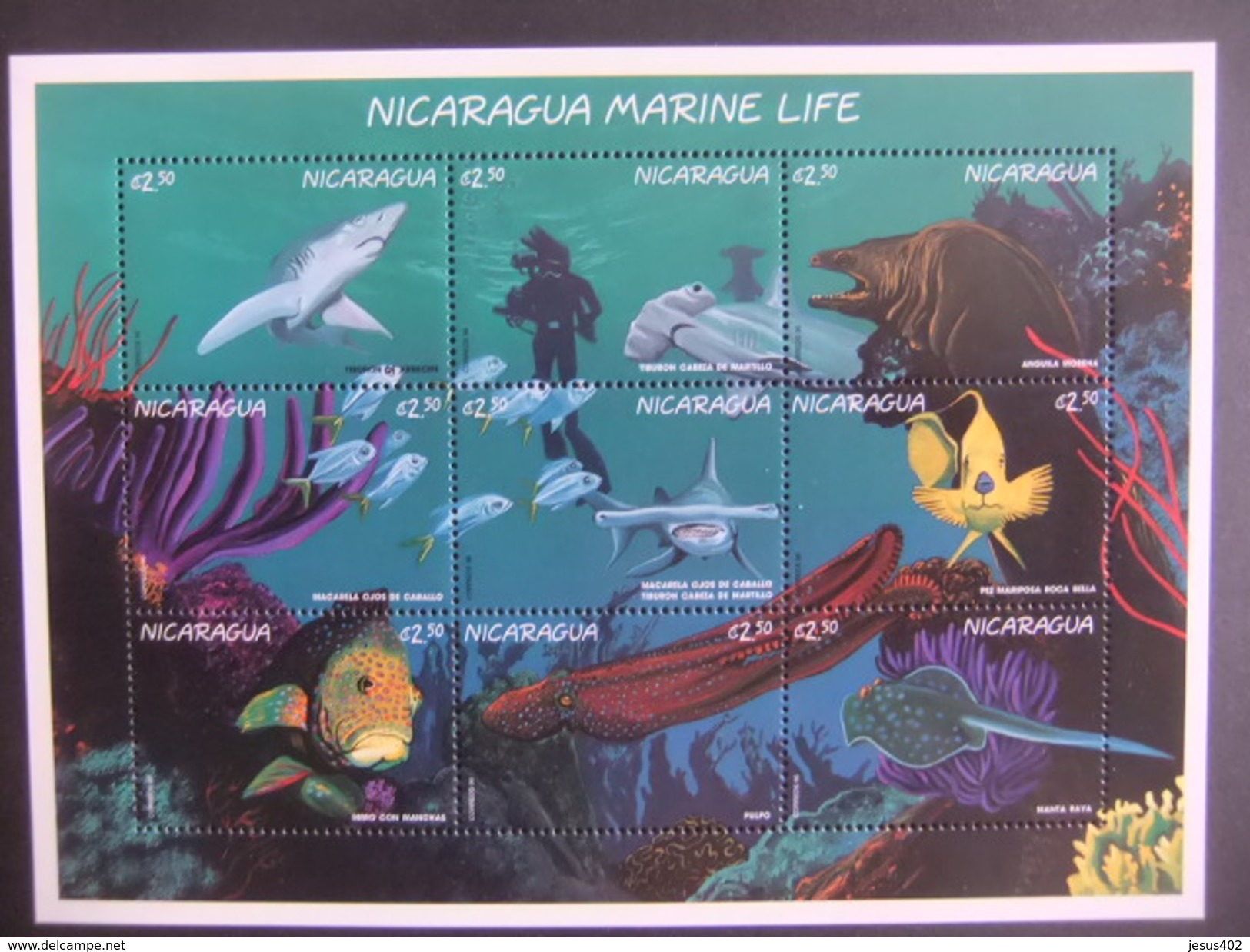 NICARAGUA 1996 FAUNA VIDA MARINA PECES YVERT 2214 / 22 ** MNH - Nicaragua