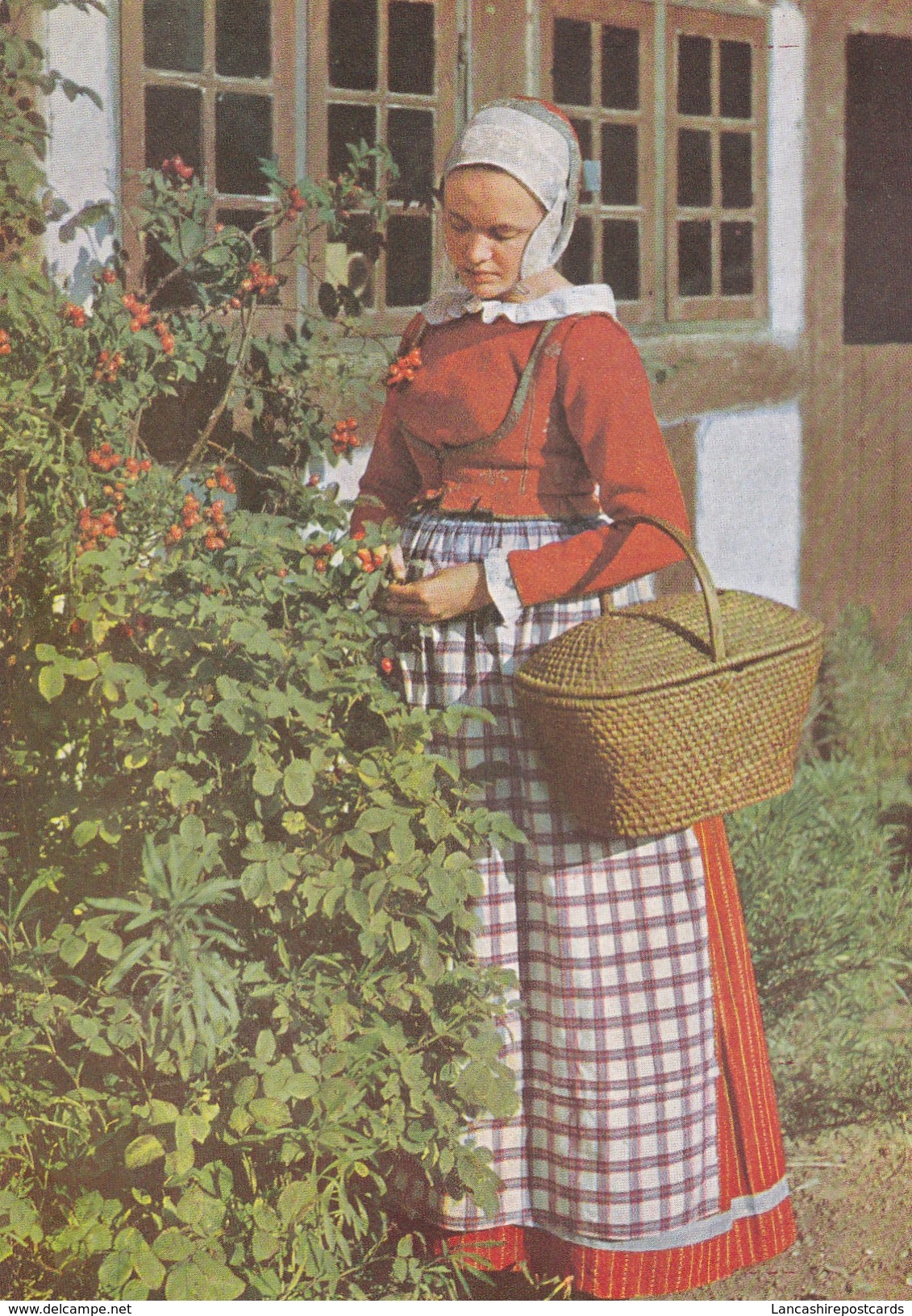 Postcard Denmark Girl From The County Of Odense In Costume  My Ref B21999 - Fashion