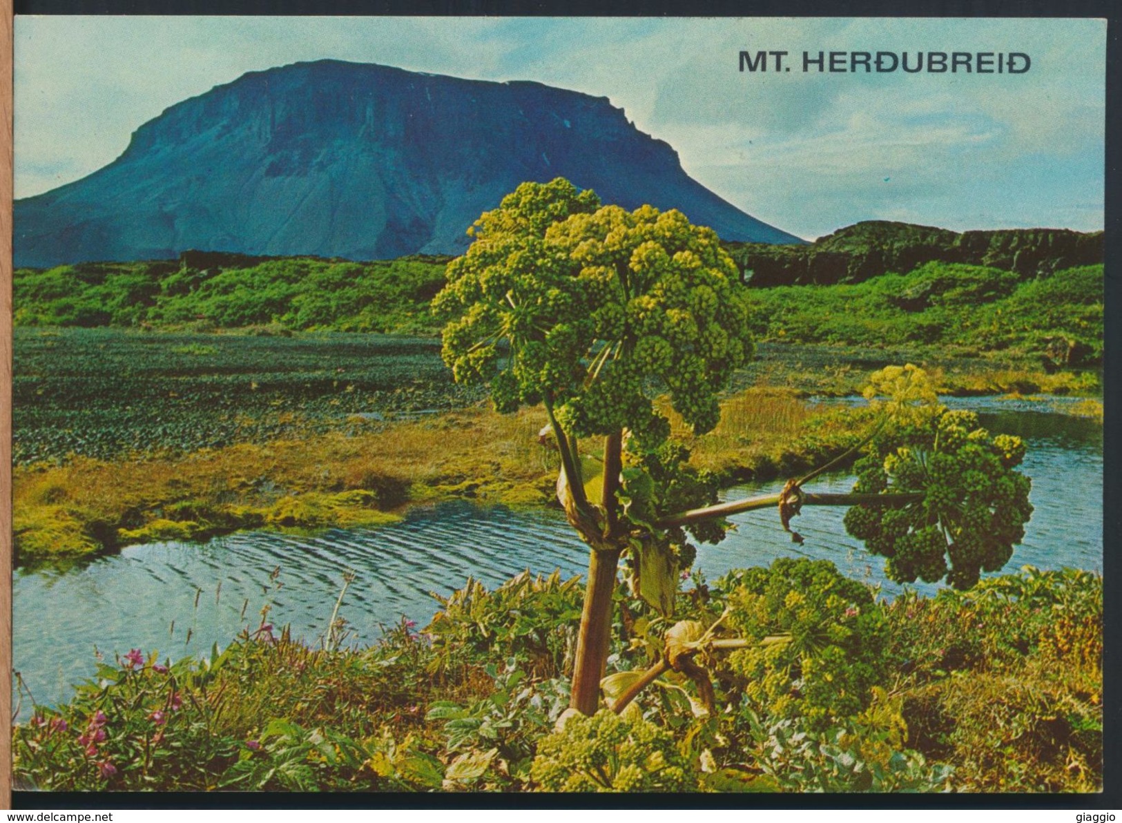 °°° 9225 - ICELAND - MT. HERDUBREID °°° - Islanda