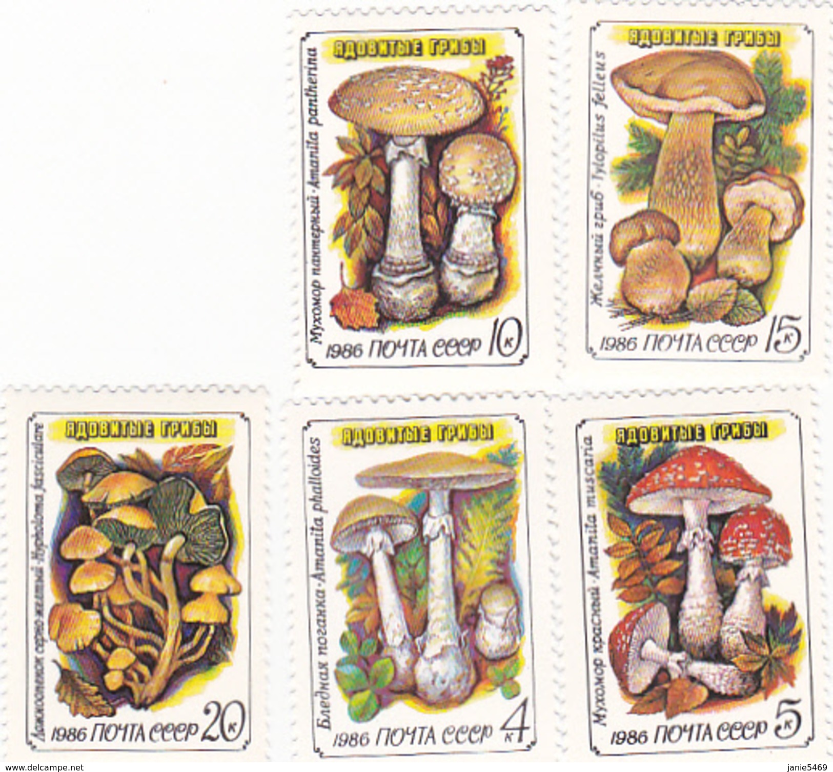 Russia 1986 Mushrooms Set MNH - Pilze